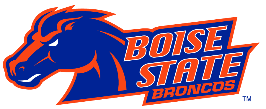 Boise State Broncos 2002-2012 Secondary Logo v23 iron on transfers for clothing